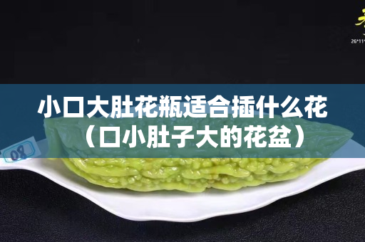 小口大肚花瓶適合插什么花（口小肚子大的花盆）