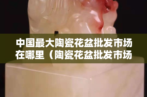 中國最大陶瓷花盆批發市場在哪里（陶瓷花盆批發市場在哪個地方最便宜的）