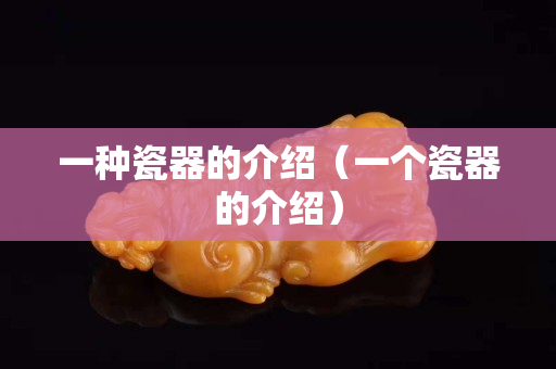 一種瓷器的介紹（一個瓷器的介紹）