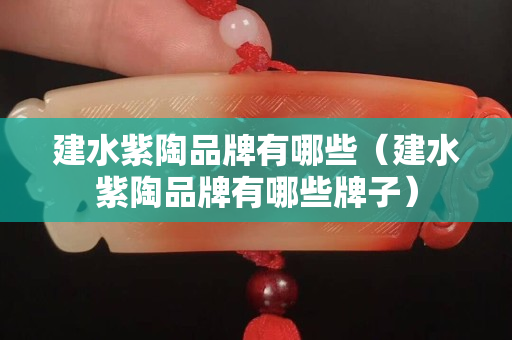 建水紫陶品牌有哪些（建水紫陶品牌有哪些牌子）