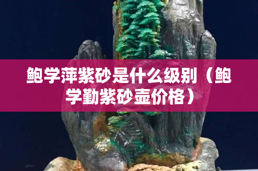 鮑學萍紫砂是什么級別（鮑學勤紫砂壺價格）