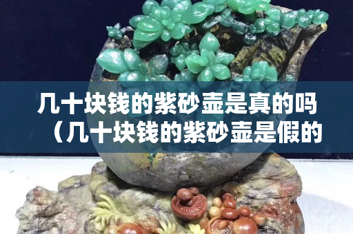 幾十塊錢的紫砂壺是真的嗎（幾十塊錢的紫砂壺是假的嗎）
