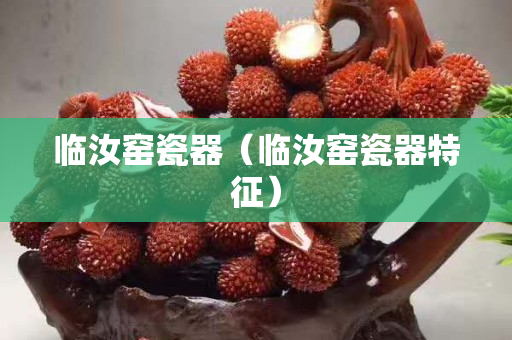 臨汝窯瓷器（臨汝窯瓷器特征）