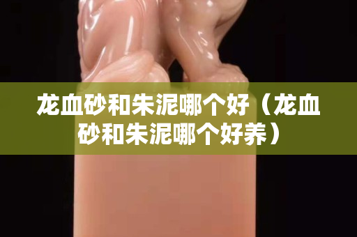 龍血砂和朱泥哪個好（龍血砂和朱泥哪個好養）