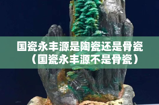 國瓷永豐源是陶瓷還是骨瓷（國瓷永豐源不是骨瓷）