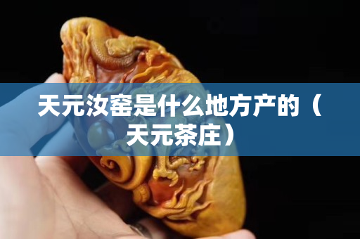 天元汝窯是什么地方產的（天元茶莊）
