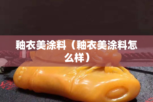 釉衣美涂料（釉衣美涂料怎么樣）