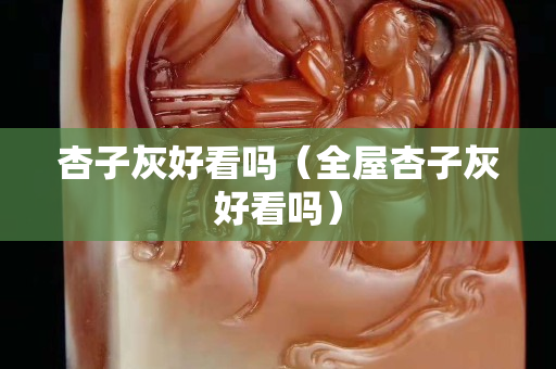 杏子灰好看嗎（全屋杏子灰好看嗎）