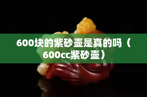 600塊的紫砂壺是真的嗎（600cc紫砂壺）