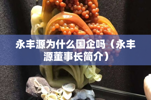 永豐源為什么國企嗎（永豐源董事長簡介）