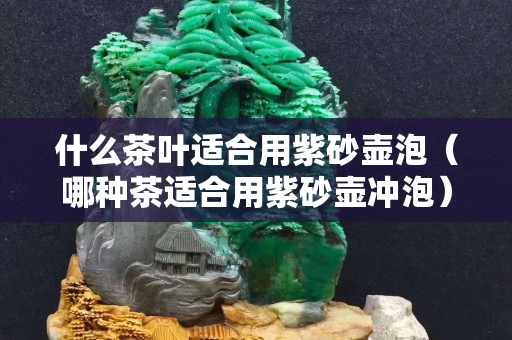 什么茶葉適合用紫砂壺泡（哪種茶適合用紫砂壺沖泡）