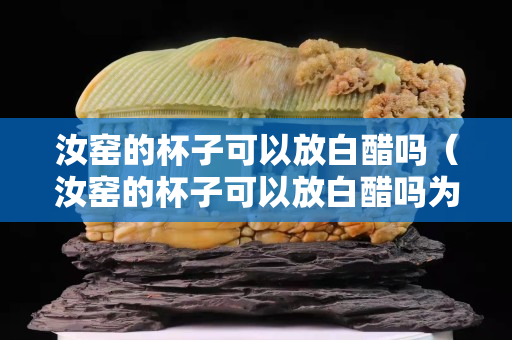 汝窯的杯子可以放白醋嗎（汝窯的杯子可以放白醋嗎為什么）