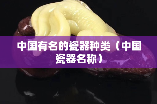 中國有名的瓷器種類（中國瓷器名稱）