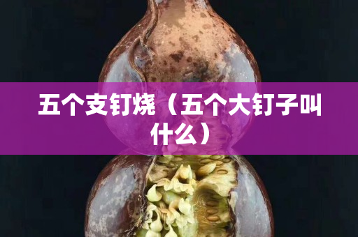 五個支釘燒（五個大釘子叫什么）