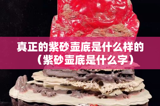 真正的紫砂壺底是什么樣的（紫砂壺底是什么字）
