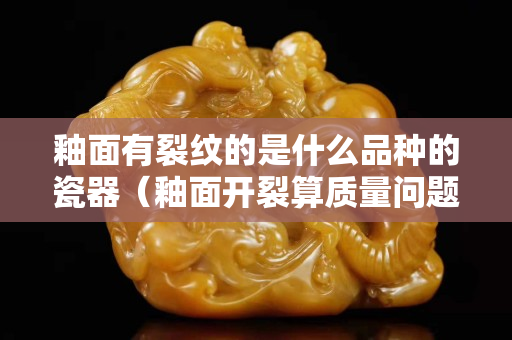 釉面有裂紋的是什么品種的瓷器（釉面開(kāi)裂算質(zhì)量問(wèn)題嗎）