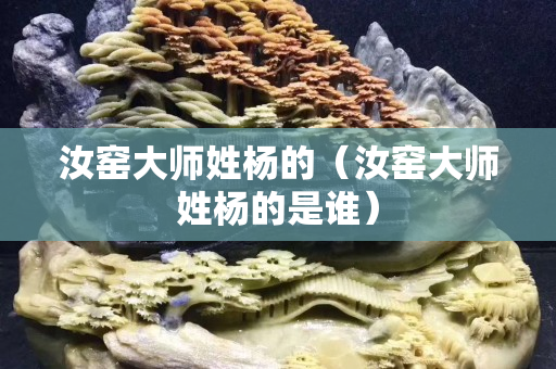 汝窯大師姓楊的（汝窯大師姓楊的是誰）