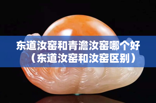 東道汝窯和青澹汝窯哪個好（東道汝窯和汝窯區別）