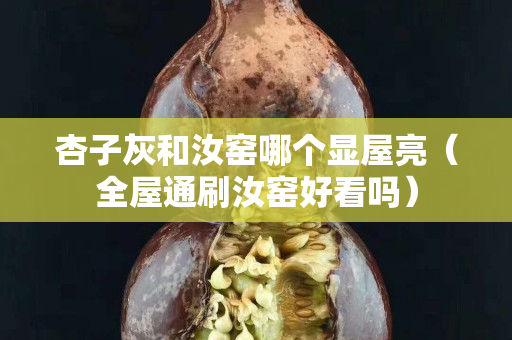 杏子灰和汝窯哪個(gè)顯屋亮（全屋通刷汝窯好看嗎）