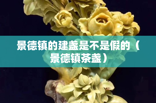 景德鎮(zhèn)的建盞是不是假的（景德鎮(zhèn)茶盞）