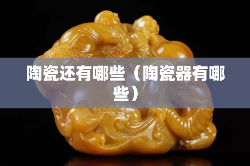 陶瓷還有哪些（陶瓷器有哪些）
