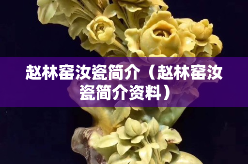 趙林窯汝瓷簡介（趙林窯汝瓷簡介資料）