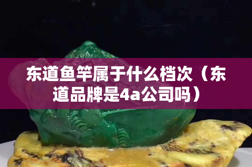 東道魚竿屬于什么檔次（東道品牌是4a公司嗎）