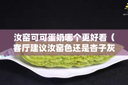 汝窯可可蛋奶哪個更好看（客廳建議汝窯色還是杏子灰）