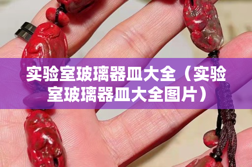實驗室玻璃器皿大全（實驗室玻璃器皿大全圖片）
