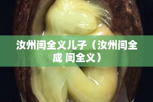 汝州閆全義兒子（汝州閆全成 閆全義）