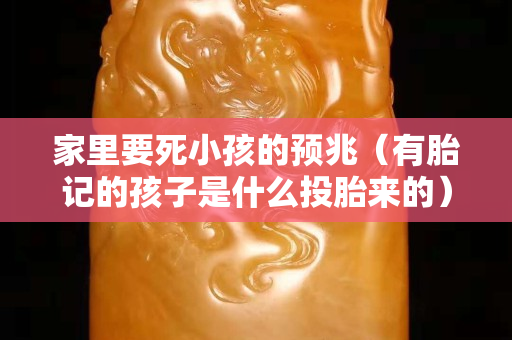家里要死小孩的預兆（有胎記的孩子是什么投胎來的）
