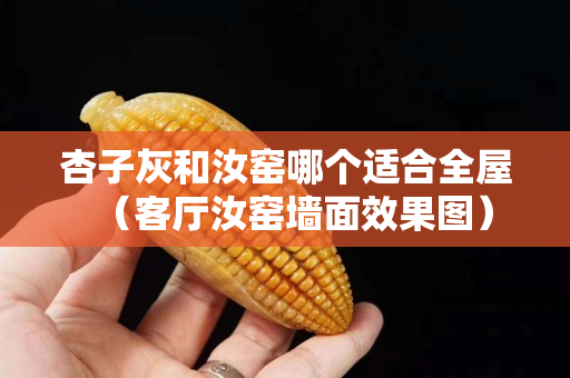 杏子灰和汝窯哪個適合全屋（客廳汝窯墻面效果圖）