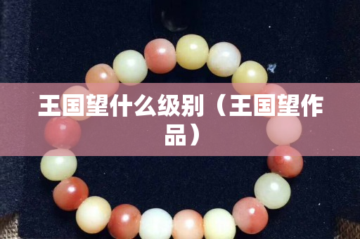 王國望什么級別（王國望作品）