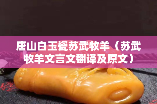 唐山白玉瓷蘇武牧羊（蘇武牧羊文言文翻譯及原文）