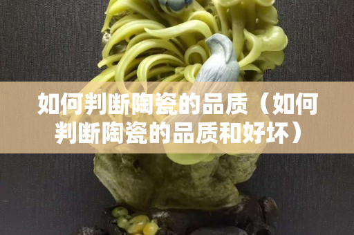 如何判斷陶瓷的品質（如何判斷陶瓷的品質和好壞）