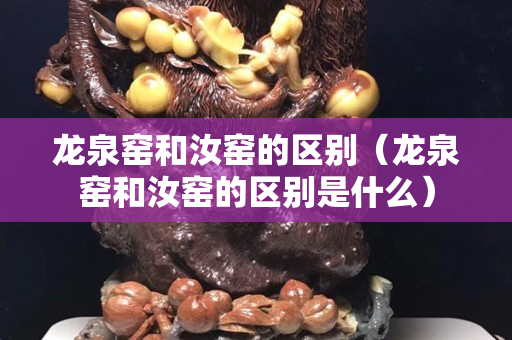 龍泉窯和汝窯的區別（龍泉窯和汝窯的區別是什么）