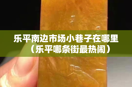 樂平南邊市場小巷子在哪里（樂平哪條街最熱鬧）