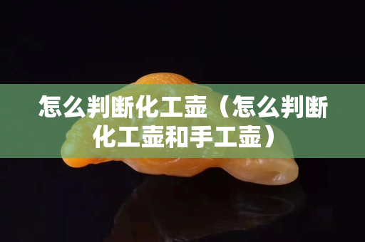 怎么判斷化工壺（怎么判斷化工壺和手工壺）