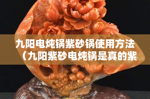 九陽(yáng)電燉鍋?zhàn)仙板伿褂梅椒ǎň抨?yáng)紫砂電燉鍋是真的紫砂嗎）