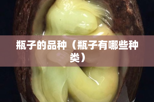 瓶子的品種（瓶子有哪些種類）