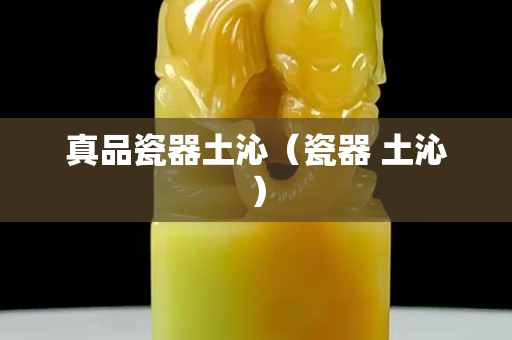 真品瓷器土沁（瓷器 土沁）