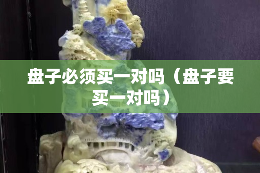 盤子必須買一對嗎（盤子要買一對嗎）
