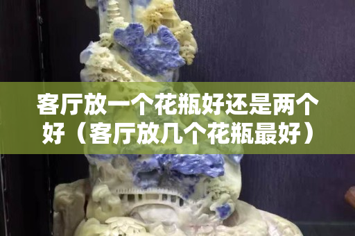 客廳放一個花瓶好還是兩個好（客廳放幾個花瓶最好）