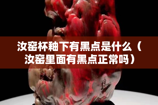 汝窯杯釉下有黑點(diǎn)是什么（汝窯里面有黑點(diǎn)正常嗎）