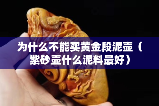 為什么不能買黃金段泥壺（紫砂壺什么泥料最好）