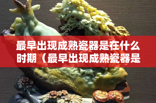 最早出現成熟瓷器是在什么時期（最早出現成熟瓷器是在什么時期出現的）