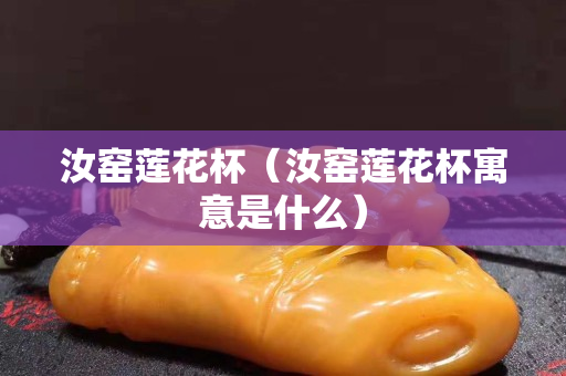 汝窯蓮花杯（汝窯蓮花杯寓意是什么）