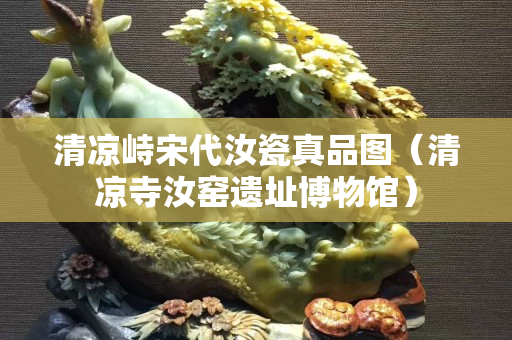 清涼峙宋代汝瓷真品圖（清涼寺汝窯遺址博物館）