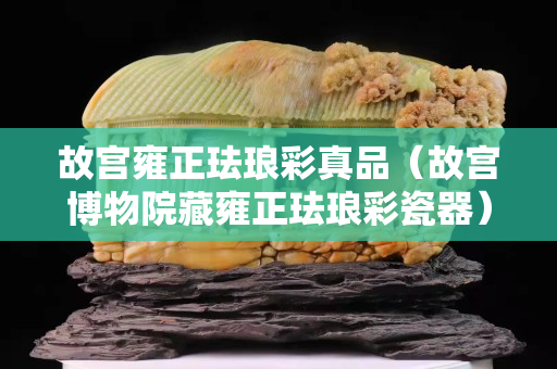 故宮雍正琺瑯彩真品（故宮博物院藏雍正琺瑯彩瓷器）
