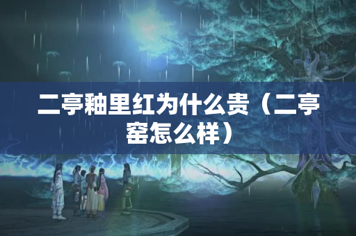 二亭釉里紅為什么貴（二亭窯怎么樣）